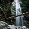 Cascade Falls Trail