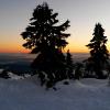 Mount Seymour Trail