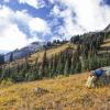 Tenquille Lake Trail