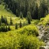 Joffre Lake