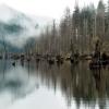 Buntzen Lake