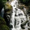 Big Cedar and Kennedy Falls Trail