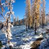 Frosty Mountain Trail