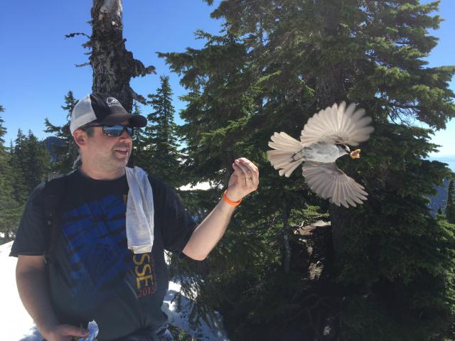 Howe Sound Crest Trail