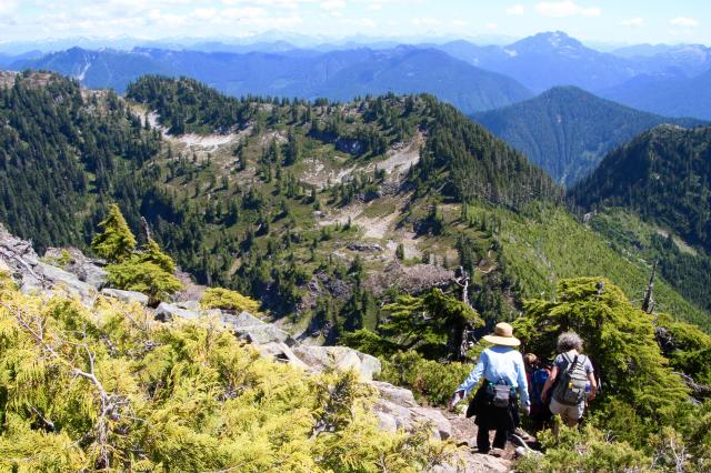 Mt Harvey & Mt Brunswick Loop