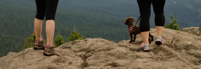 Dog Mountain