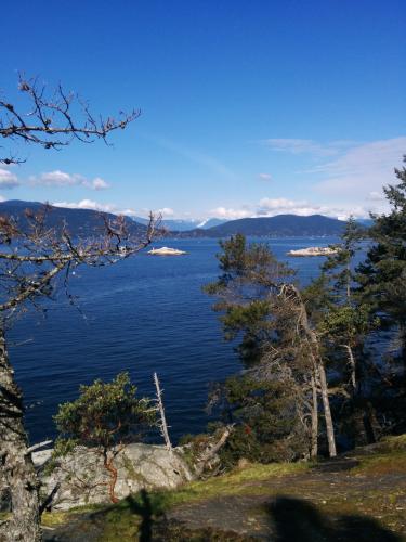 Lighthouse Park