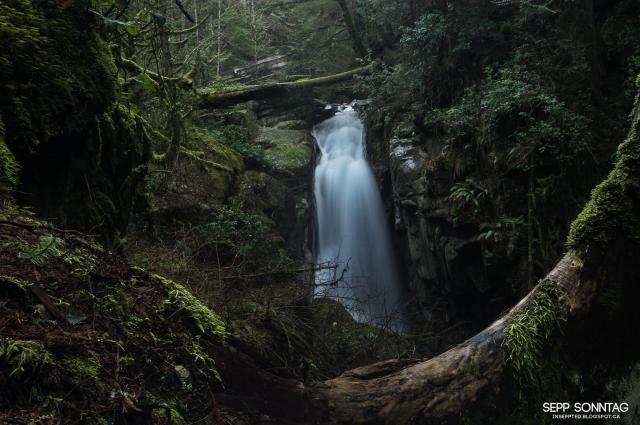 Cypress Falls