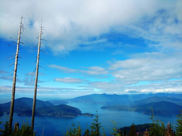 Bowen Lookout