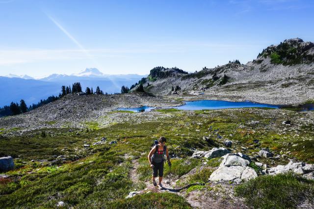 Brew Lake Trail