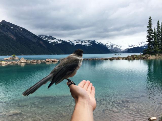 Garibaldi Lake