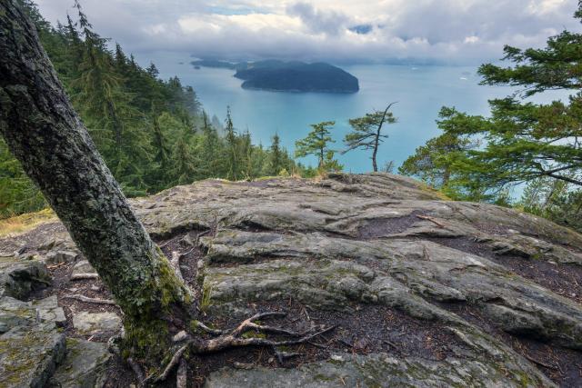 Mt. Gardner Trail