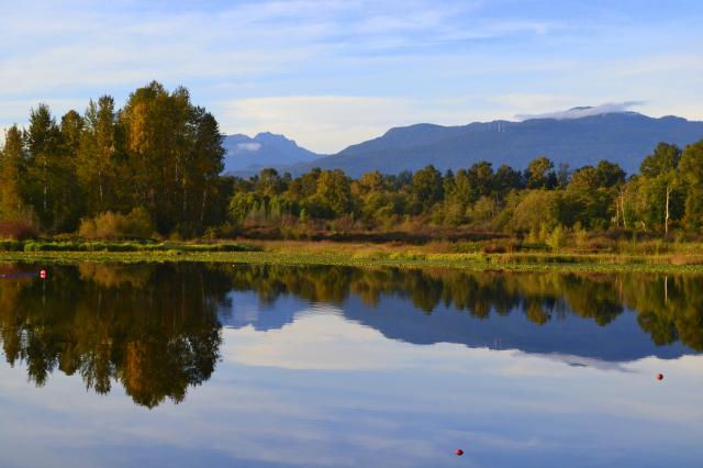 Burnaby Lake Photo | Hiking Photo Contest | Vancouver Trails
