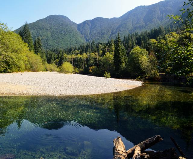 Lower Falls Trail