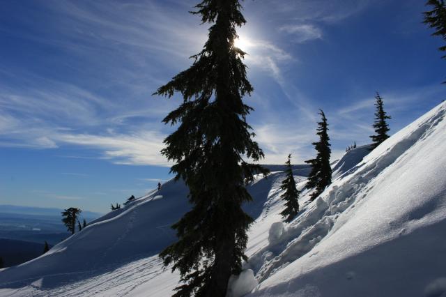 Seymour Summit Trail