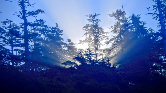 West Coast Trail