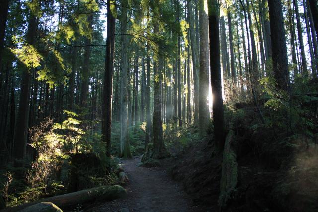 Buntzen Lake Trail