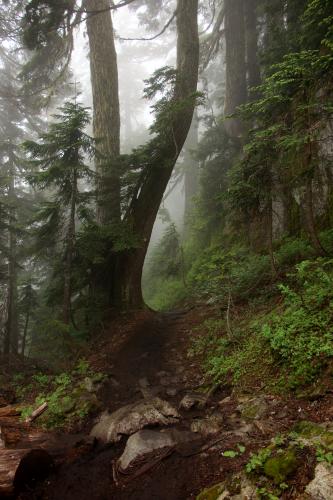 Hanes Valley Trail