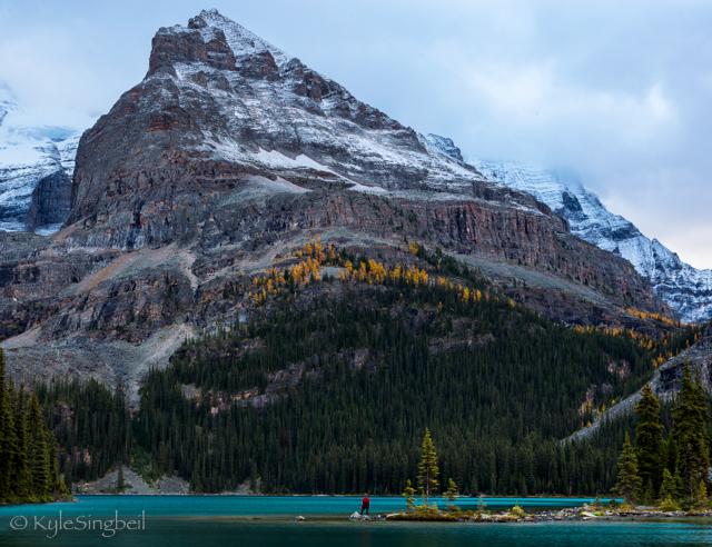 Lake O'hara Loop