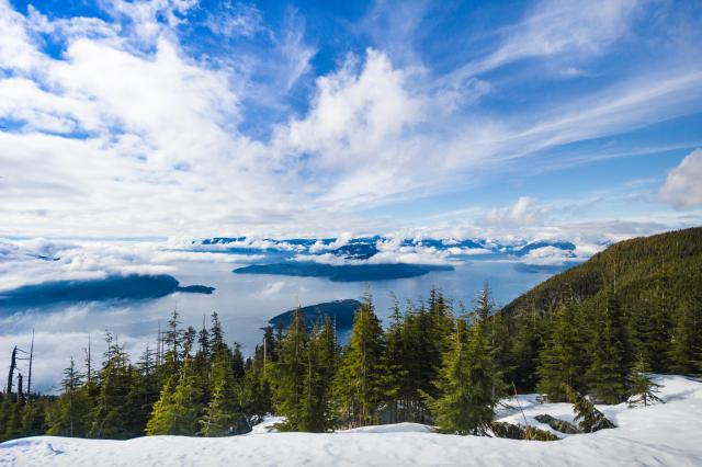 Mark Mark Summit Trail & Bowen Lookout