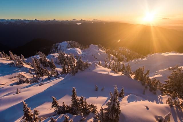 Mount Seymour Snowshoe Trail