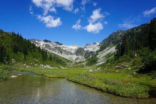 Brandywine Meadows