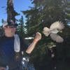 Howe Sound Crest Trail