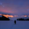 garibaldi lake trail