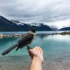 Garibaldi Lake