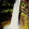 Brandywine Falls Trail