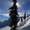 Seymour Summit Trail