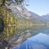 Birkenhead Lake Trail