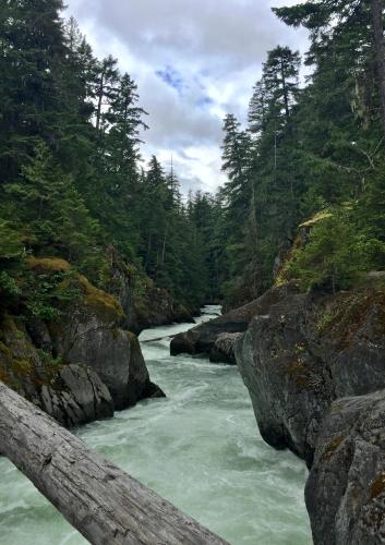 Whistler Train Wreck