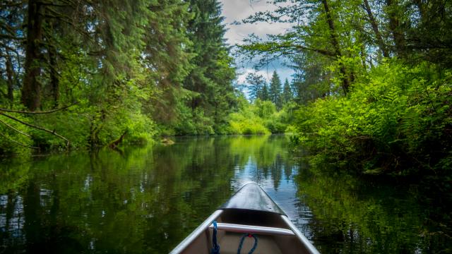 Widgeon Falls