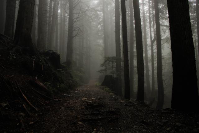 Mount Seymour