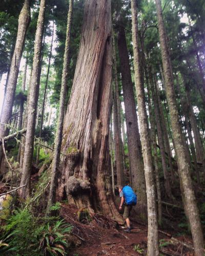 Juan De Fuca Trail