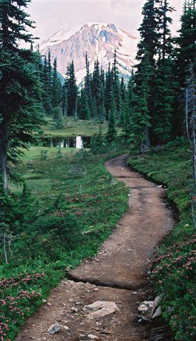 Panorama Ridge Trail