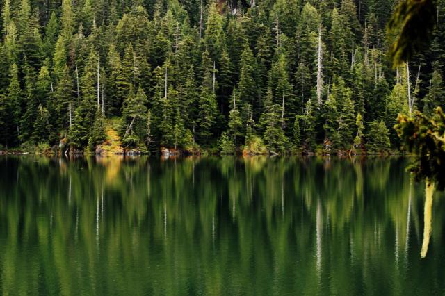 Cheakamus Lake Trail