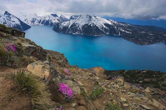 Panorama Ridge Trail