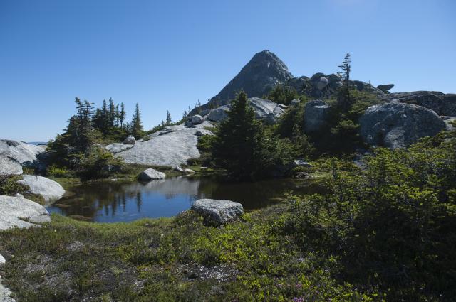 Needle Peak