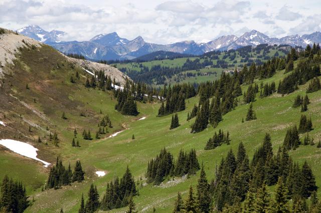 Heather Trail