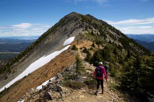 Heather Trail