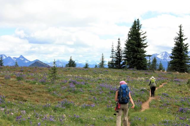 Heather Trail