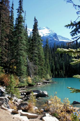 Joffre Lakes Trail