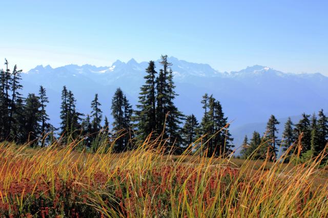 Paul Ridge To Elfin Lakes