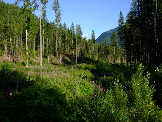 Bosumarne Falls Trail