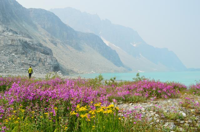 Wedgemount Lake