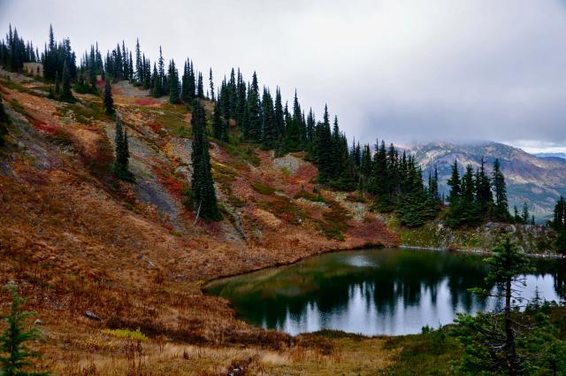 Palmers Pond Trail