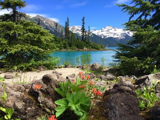 Garibaldi Lake Trail?