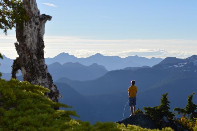 Mount Seymour Trail